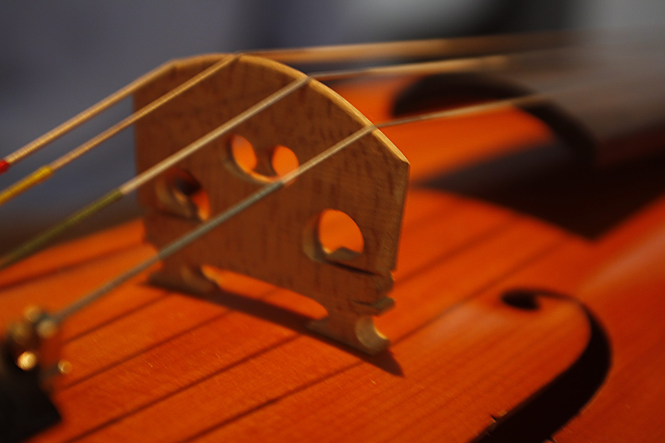 Music and Performing Arts